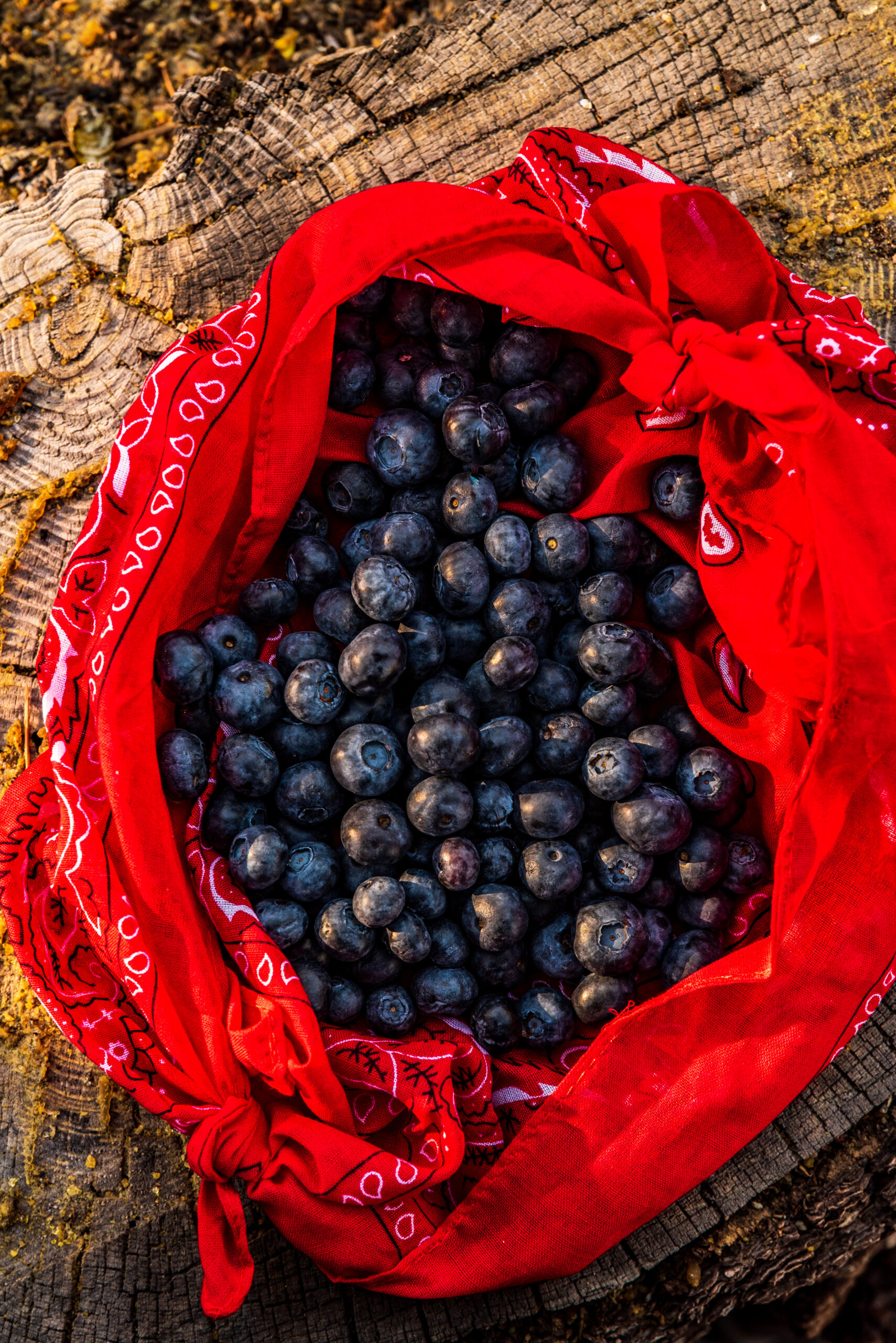 Açaí basket